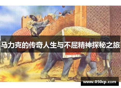 马力克的传奇人生与不屈精神探秘之旅